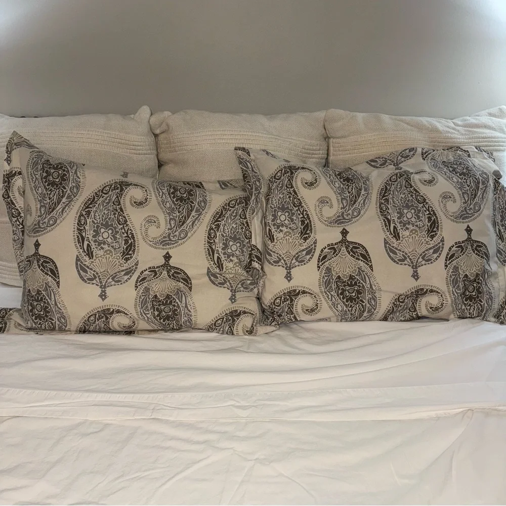 2 Pottery Barn pillow cases